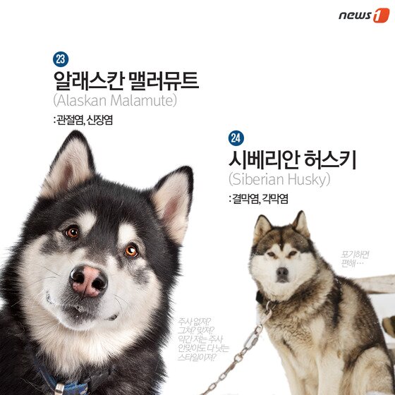 본문 이미지 - ⓒ News1