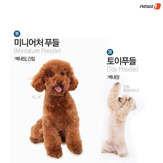 본문 이미지 - ⓒ News1
