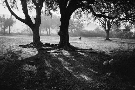 본문 이미지 - 인디아 사진전 '디레 디레'중 작품이미지 ⓒ 박노해
