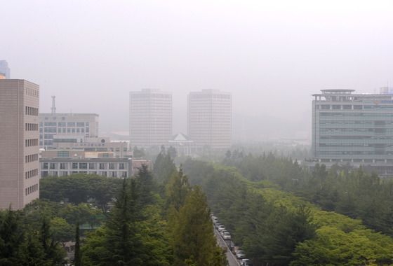 [오늘의 날씨] 대전·충남(28일, 토)…가시거리 1km 안개