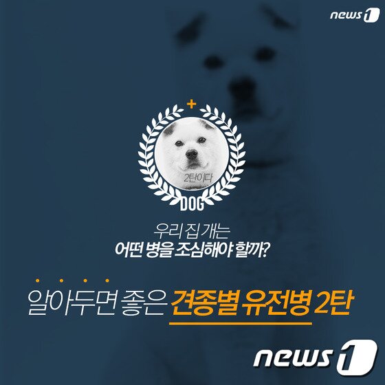 본문 이미지 - ⓒ News1