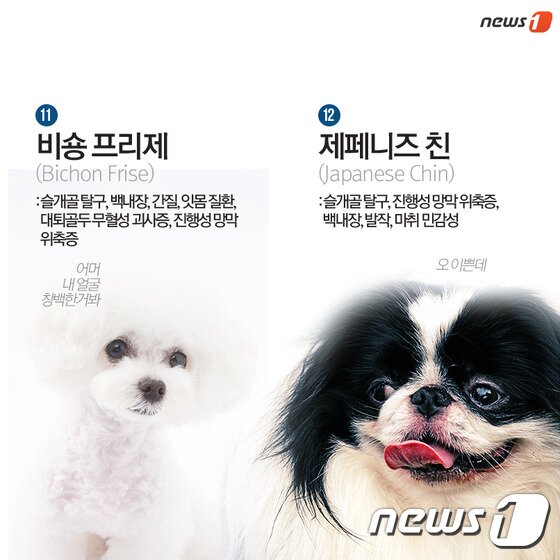 본문 이미지 - ⓒ News1