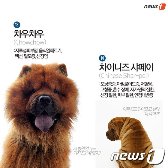 본문 이미지 - ⓒ News1