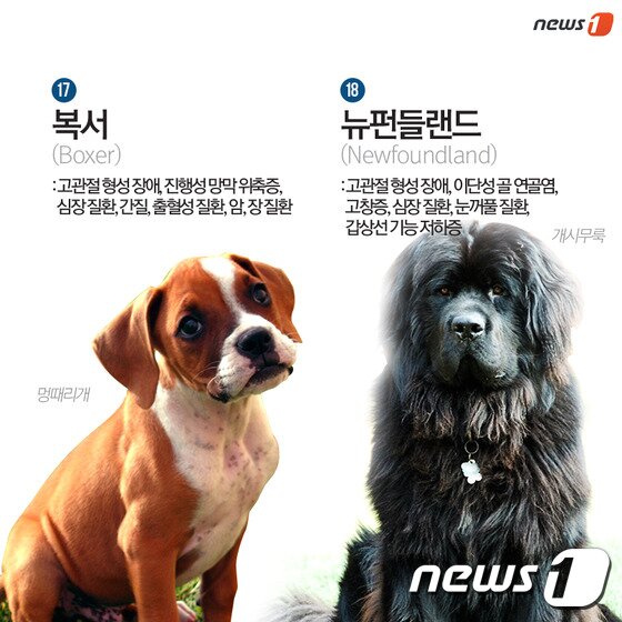 본문 이미지 - ⓒ News1