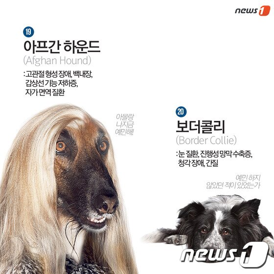본문 이미지 - ⓒ News1