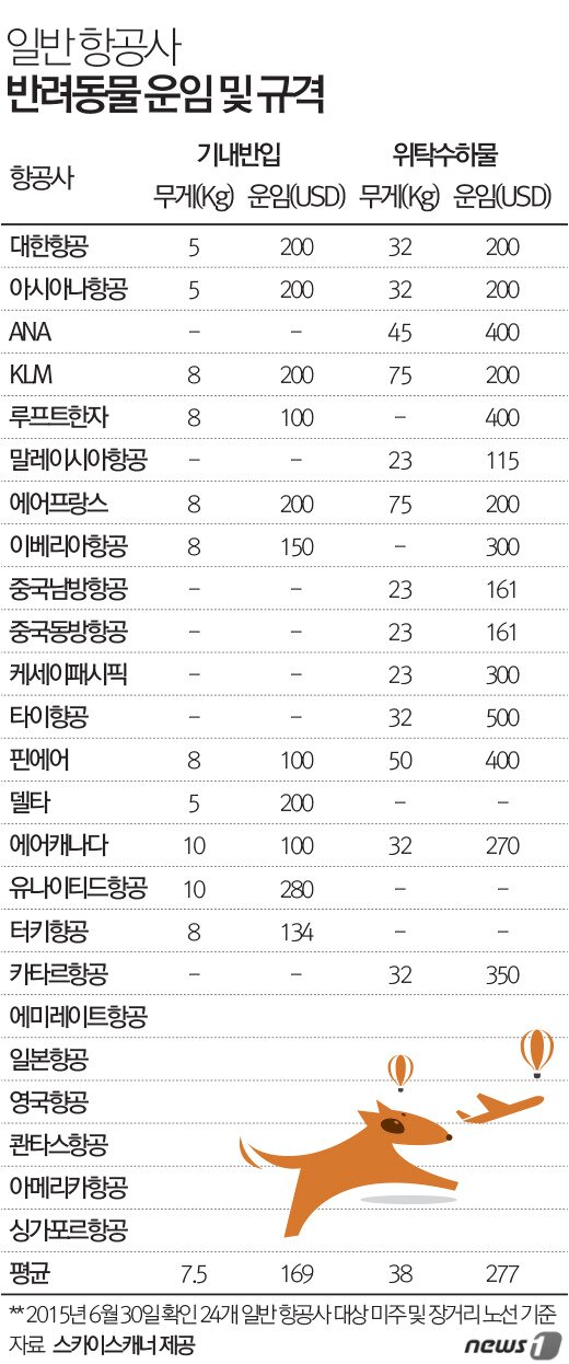 본문 이미지 - 2015.07.20/뉴스1 ⓒ News1 최진모 디자이너