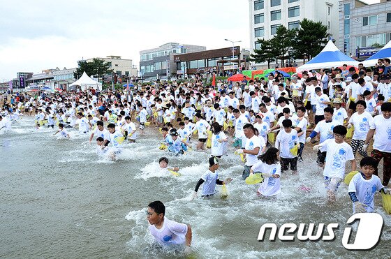 본문 이미지 - 속초 장사항 오징어맨손잡기 축제를 찾은 참가자들이 오징어를 잡기 위해 바다에 뛰어들고 있다. 오징어 맨손잡기, 오징어순대 만들기 등 다양한 체험행사가 마련된 이번 축제는 다음달 1일까지 열린다. 2015.7.25./뉴스1 ⓒ News1 엄용주 기자