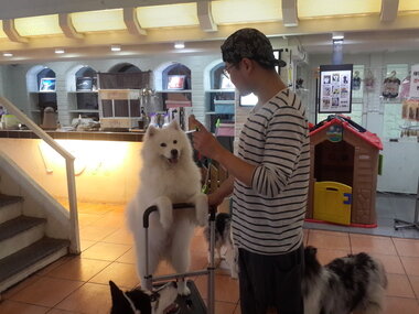 본문 이미지 - ⓒ News1