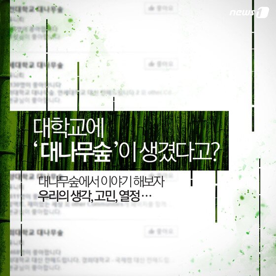 본문 이미지 - ⓒ News1