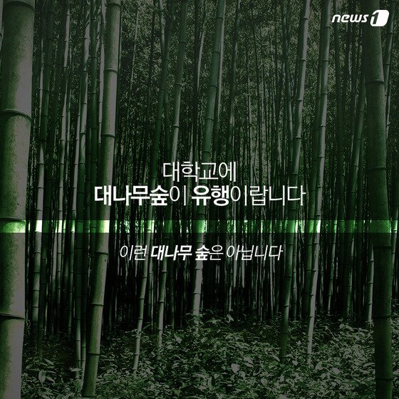 본문 이미지 - ⓒ News1