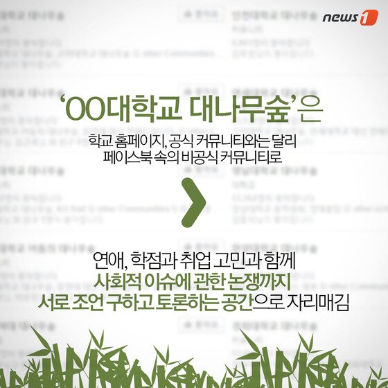 본문 이미지 - ⓒ News1