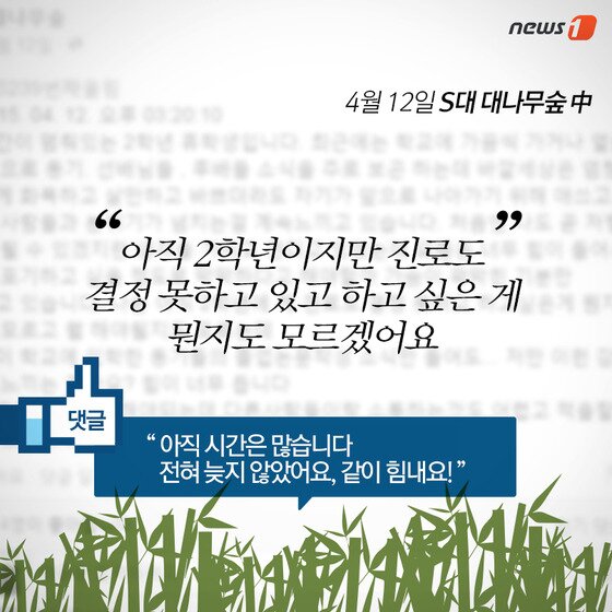 본문 이미지 - ⓒ News1