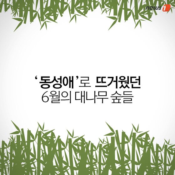 본문 이미지 - ⓒ News1