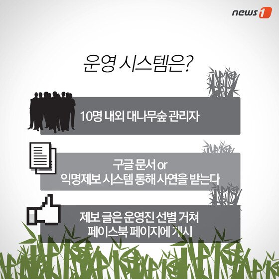 본문 이미지 - ⓒ News1