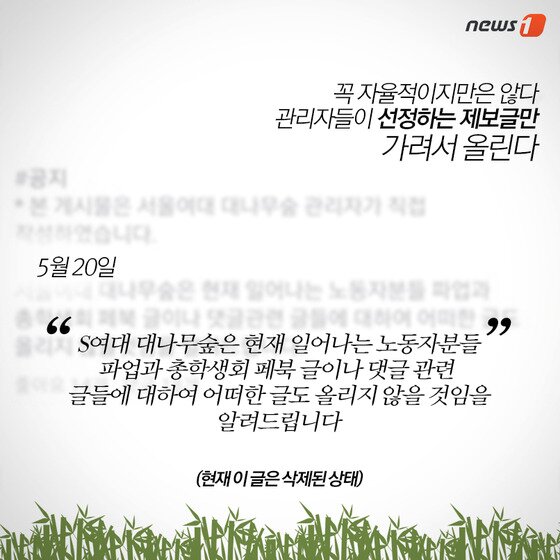 본문 이미지 - ⓒ News1