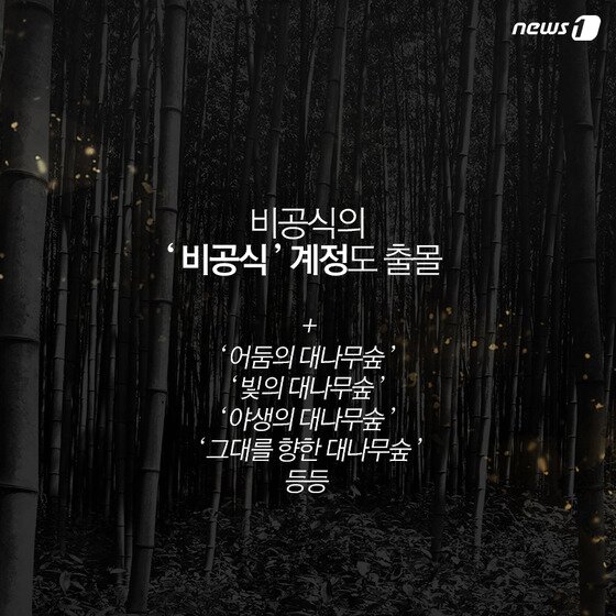 본문 이미지 - ⓒ News1