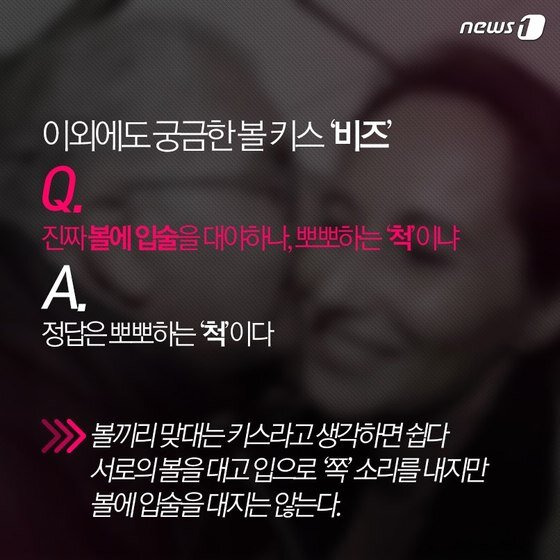 본문 이미지 - ⓒ News1