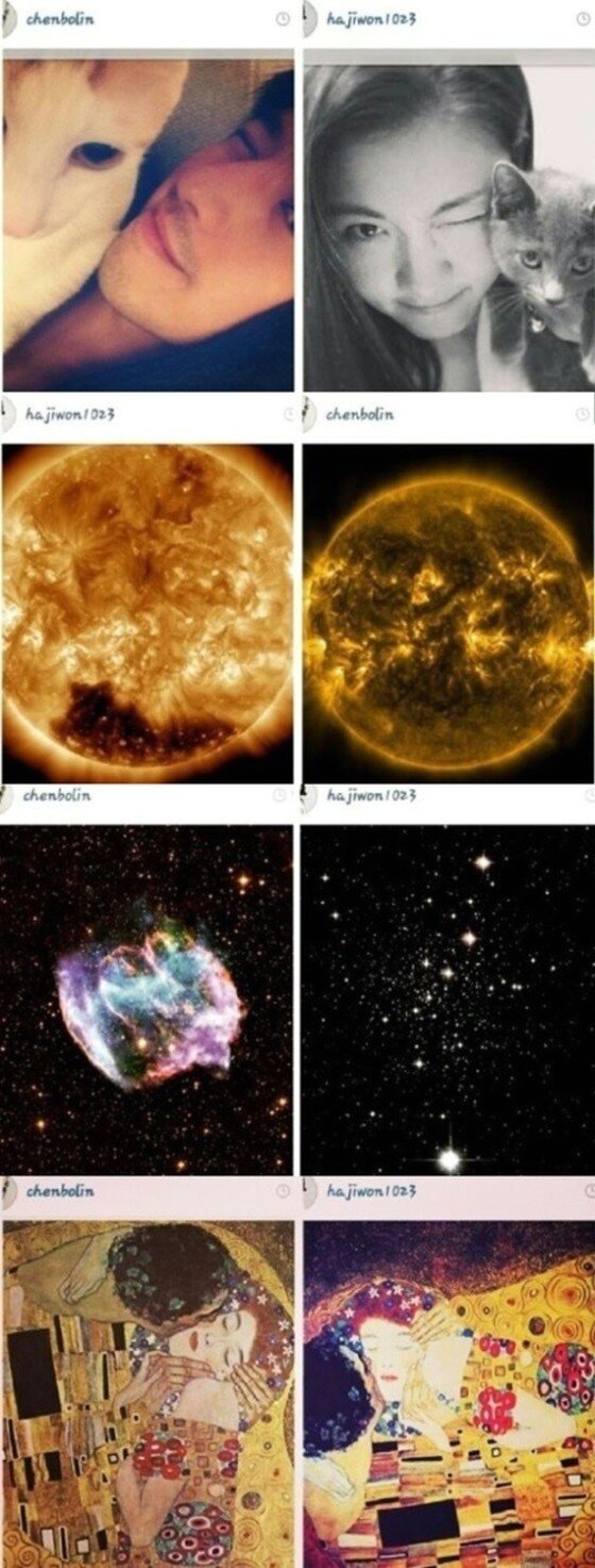 본문 이미지 - 진백림과 하지원이 열애설에 휩싸였다. ⓒ News1스포츠 / 진백림 하지원 인스타그램 캡처