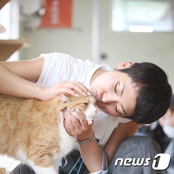 본문 이미지 - (사진 20PICK '아임 캣맘' 캡처)ⓒ News1