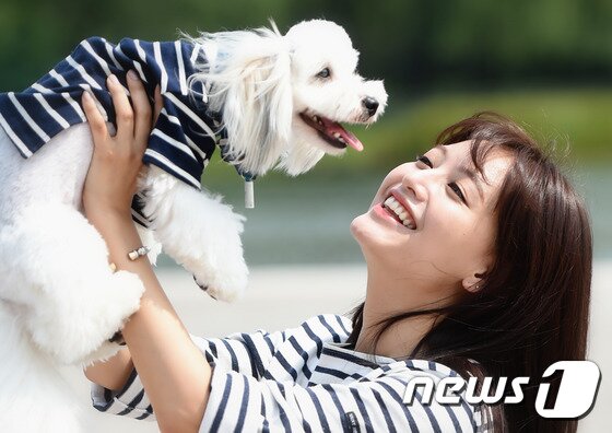 본문 이미지 - 레인보우 멤버 겸 배우 재경이 최근 진행된 인터뷰에서 반려견 카롱이를 소개했다. ⓒ News1 스타 / 권현진 기자