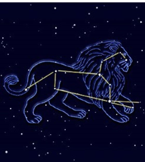 본문 이미지 - 사자자리(7.23~8.22) (사진=네이버)