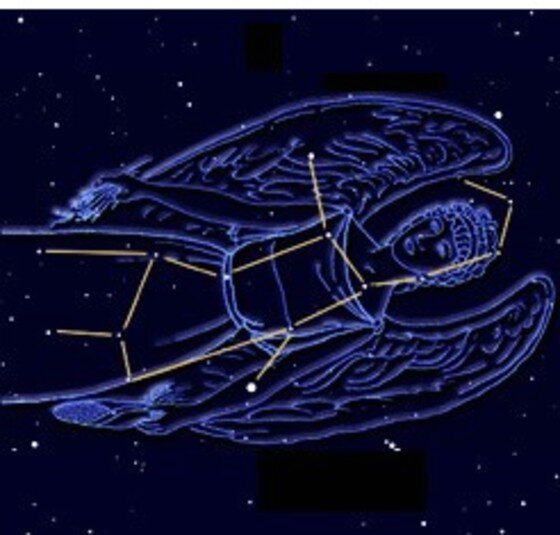 본문 이미지 - 처녀자리(8.23~9.22) (사진=네이버)