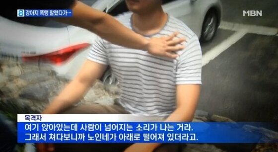 본문 이미지 - 강아지 폭행을 말린 70대 노인을 폭행하고 전신마비로 만든 50대 취객에 대해 네티즌들이 공분하고 있다.(사진 MBN 뉴스 캡처)ⓒ News1 