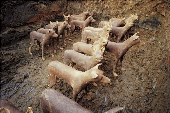 본문 이미지 -  조덕현 개인전 '꿈' 전시작 '아슈켈론의 개' (사진제공 일민미술관) 