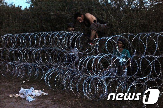 본문 이미지 - 난민들이 30일(현지시간) 3중으로 된 철조망을 넘어 세르비아에서 헝가리로 진입하고 있다.ⓒ AFP=뉴스1