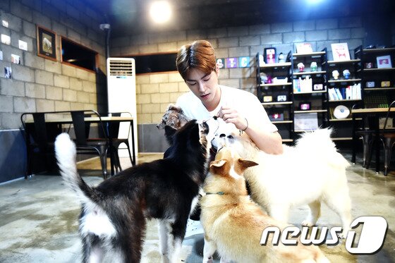 본문 이미지 - 배우 홍종현이 연희동의 한 애견카페에서 반려견 헤롱이와 시간을 보냈다. ⓒ News1스포츠 / 권현진 기자 