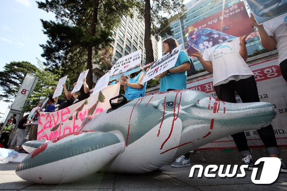 본문 이미지 - 전 세계 시민단체들이 정한 '일본 돌고래의 날'인 지난해 9월 1일 해양환경단체 및 동물보호단체 회원들이 서울 종로구 중학동 주한 일본대사관 앞에서 일본의 다이지 돌고래 학살 중단 촉구 기자회견을 하고 있다. /뉴스1 ⓒ News1 이광호 기자
