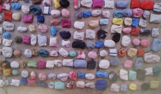 본문 이미지 -  오자미 ⓒ전갑주