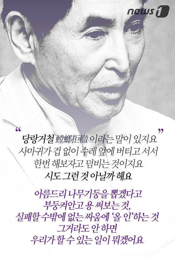 본문 이미지 - ⓒ News1