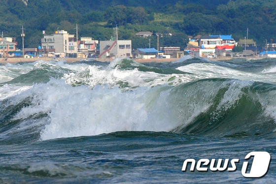(포항=뉴스1) 최창호 기자 = 7일 오전 경북 포항시 북구 흥해읍 칠포 해수욕장 백사장으로 너울성 파도가 밀려들고 있다.2015.9.7/뉴스1