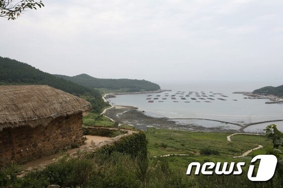 본문 이미지 - 완도 청산도 당리에서 내려다본 도락리 바다 ⓒ News1