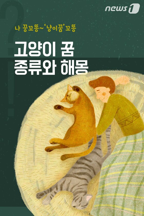 본문 이미지 - ⓒ News1