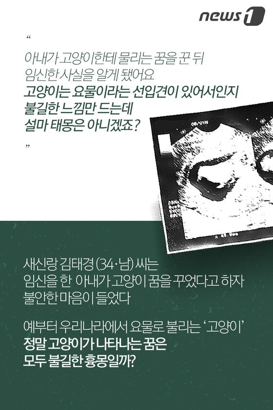 본문 이미지 - ⓒ News1
