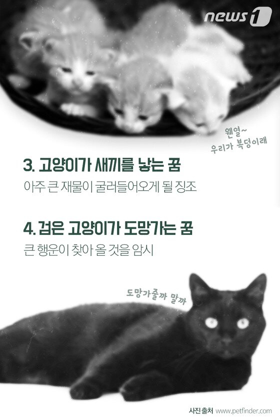 본문 이미지 - ⓒ News1