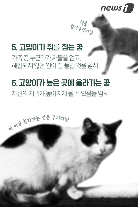 본문 이미지 - ⓒ News1