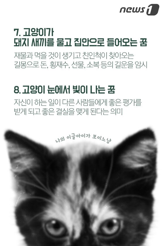 본문 이미지 - ⓒ News1