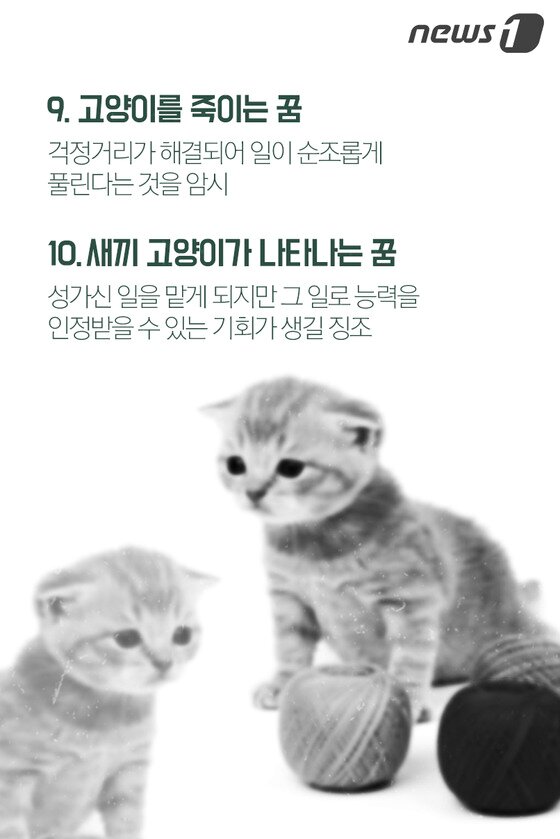 본문 이미지 - ⓒ News1