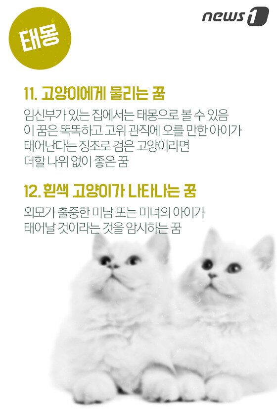 본문 이미지 - ⓒ News1