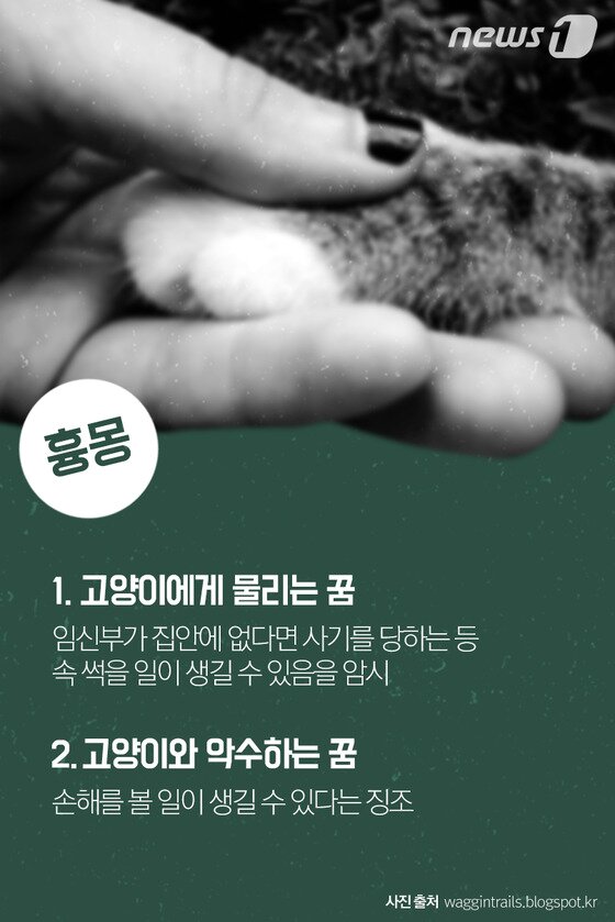 본문 이미지 - ⓒ News1