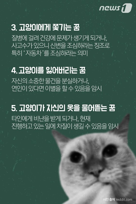 본문 이미지 - ⓒ News1