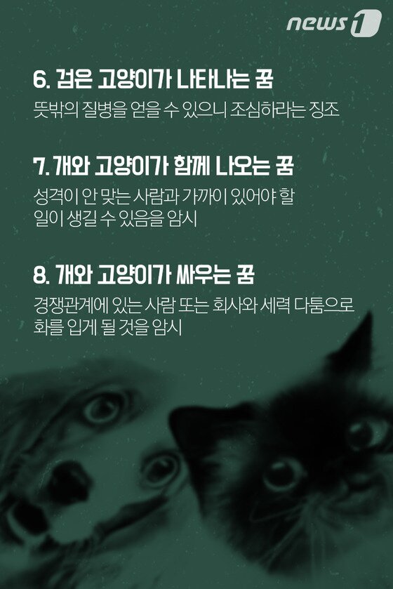 본문 이미지 - ⓒ News1