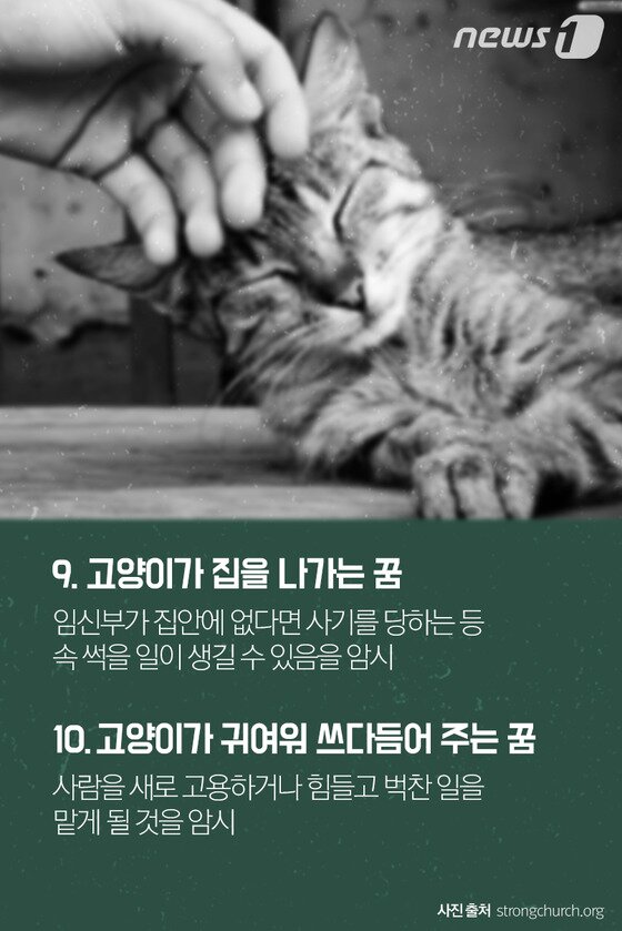본문 이미지 - ⓒ News1