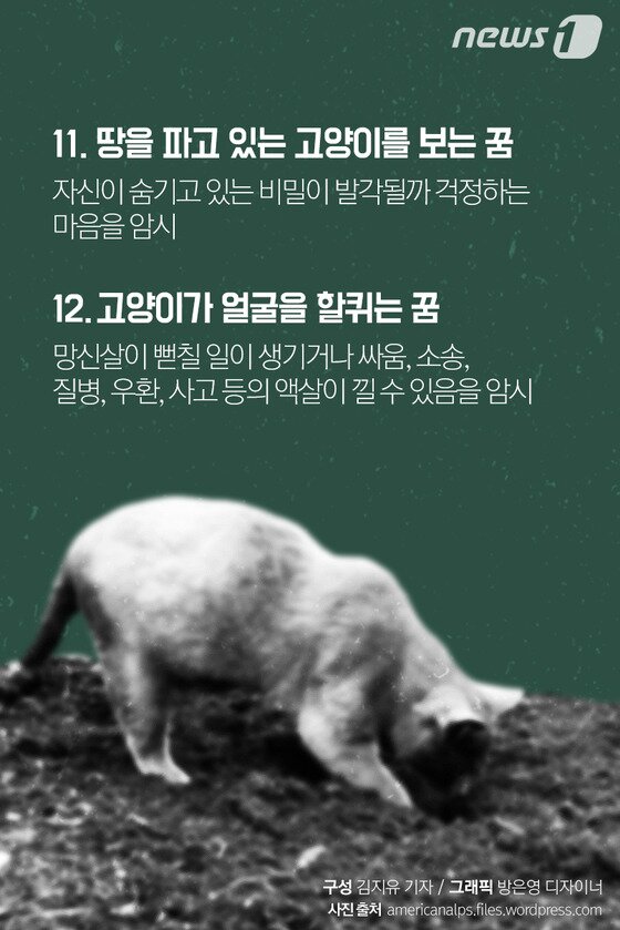 본문 이미지 - ⓒ News1