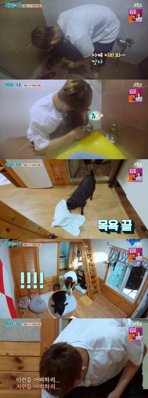 본문 이미지 - '마리와 나' 비아이가 흑염소의 넘치는 식탐에 당했다.ⓒ News1star/ JTBC '마리와 나' 방송화면 캡처