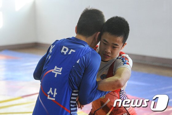 본문 이미지 - 부산 양정모체육관에서 진행되는 부산체육중고등학교 레슬링부 동계훈련에서 안 선수가 동료 선수와 훈련에 집중하고 있다. ⓒ News1 이승배 기자