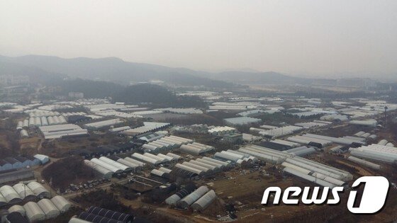 본문 이미지 - 서초 보금자리주택에서 바라 본 과천 주암 뉴스테이 공급촉진지구 전경/사진=진희정 기자ⓒ News1